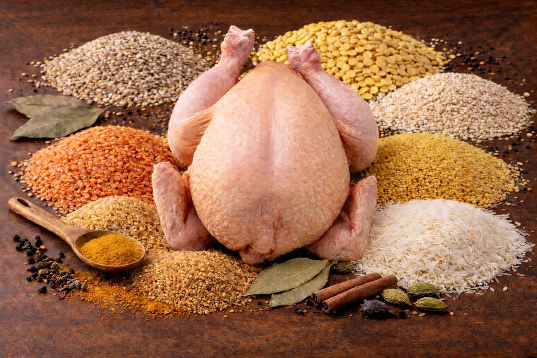 Chicken Haleem Recipe Card